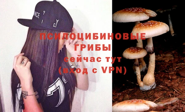 дживик Медногорск