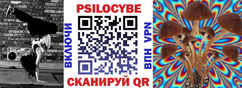 как найти закладки  blacksprut зеркало  Галлюциногенные грибы MAGIC MUSHROOMS  Копейск 